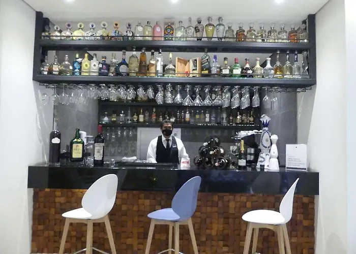 Hotel Stara Hamburgo Boutique (adults Only) Mexico City