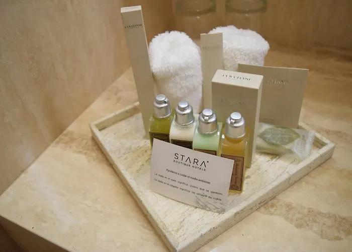 Stara Hamburgo Boutique (adults Only) Hotel Mexico City